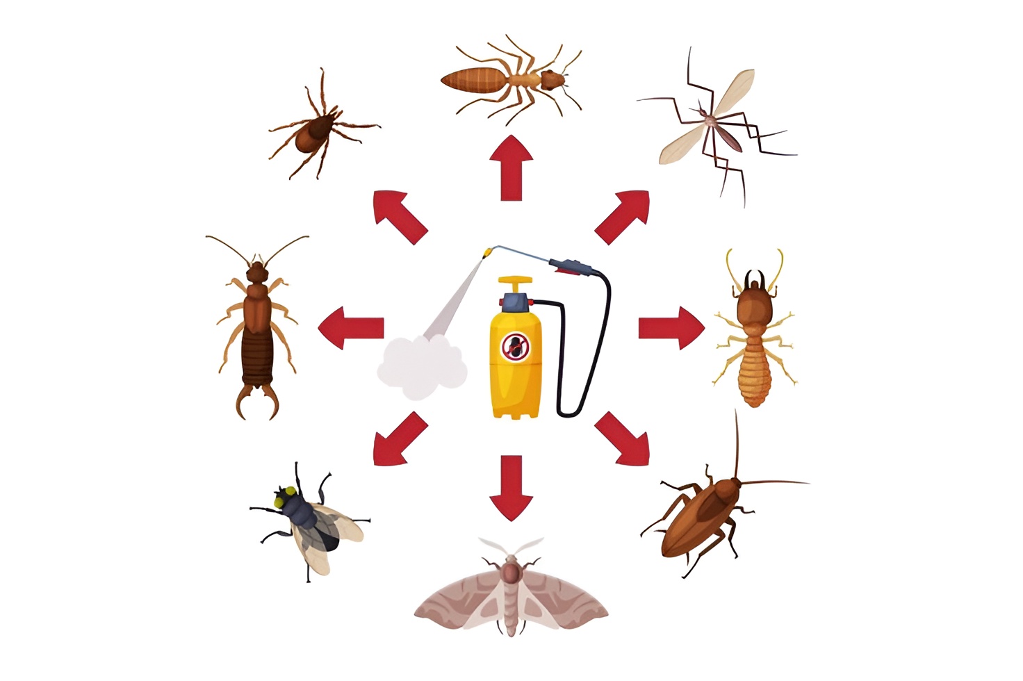 Professional pest control advice and blog insights
